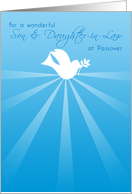 Son and Daughter-in-Law Passover Peace Dove with Olive Branch on Blue card
