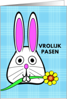 Dutch Easter Vrolijk Pasen with Bunny Holding a Flower in Its Mouth card