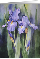 Iris Flower card
