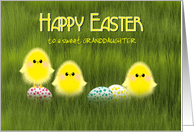 Granddaughter Easter Cute Chicks in Green Grass with Speckled Eggs card