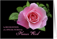 Nurses Week Special Nurse Pink Rose Custom Text card