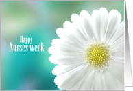 Happy Nurses Week Bright Daisy on Aqua Greens Soft Focus Background card