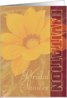 Bridal Shower Invitation -Organic Look- card