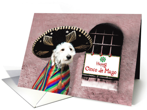 Cinco de Mayo, Dog wearing Mexican Sombrero with Sign Beside Him card