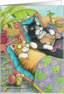 Spa Cats Invitation (Bud & Tony) card