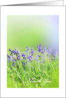Beautiful Bluebells on soft green background, thank you card