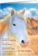 Loss of a Horse Pet Sympathy Painted White Pony with Golden Mane card