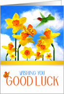 Good Luck Daffodil Garden with Butterflies for New Beginnings card