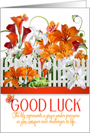 Good Luck Lily Garden with Frog and Butterflies card