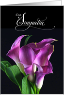Italian Language Sympathy Simpatia Purple Lilies card