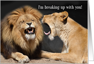 Funny Breaking Up Lion Couple Yelling card