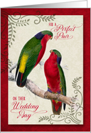 Gay Wedding Day Congratulations Pair of Love Bird Parrots card