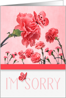 I’m Sorry Pink Carnations with Butterflies card