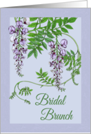 Bridal Brunch Invitations Flowers card