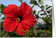 Red Flower Employee Birthday Card