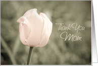 Pink Tulip Thank You Mother of the Bride Card