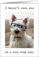 Haven’t Seen You In Awhile, Westie Dog Wearing Glasses card