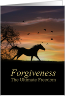 Forgiveness, I am Sorry, Horse and Sunset card