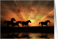 Beautiful Horses Blank Inside Herd of Wild Horses at Sunset, Water card