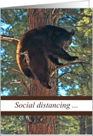Thinking of You Social Distancing Bear Corona Virus COVID-19, card