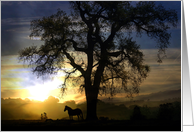sunset horse silhouette sympathy card