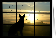 Loss of Dog Sympathy Card Dog in Window card