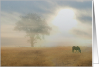 Thank You Sympathy Horse and Oak Tree In The Mist card