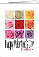 Brother - Happy Valentine’s Gay, Rainbow Roses card