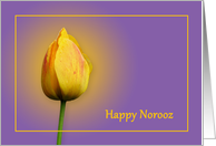 Persian new year card with yellow tulip on purple background card
