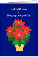Christmas and New Year Greeting in Welsh with Poinsettia Blank Inside card