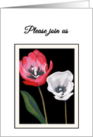 Invitation Engagement Party Tulips Side by Side Print card