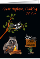 Thinking Of You, Great Nephew, At Summer Camp, raccoon with bonfire card