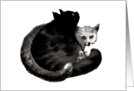 Black and grey fluffy cats cuddling card