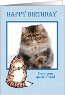Happy Birthday to dog from cat, photo frame, card