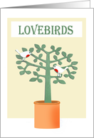 Lovebirds .two birds and tree. card