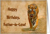 Happy Birthday Father-in-Law greeting card, tiger in savannah card