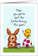 Chick is spotting the Easter Bunny - Humorous Easter Card