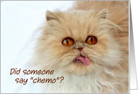 Cute Persian Cat Humor Chemotherapy & Cancer Get Well Soon card