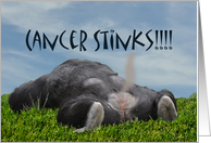 Cancer Illness Stinks Smells Monkey Butt Ass Humorous Gas Fart card