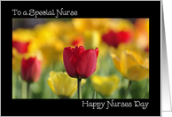 Special Nurse on Nurses Day, Red Tulip card