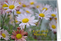 Pink Daisy Get-Well Blessing card