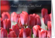 Happy Birthday Dear Friend, Red Tulips card