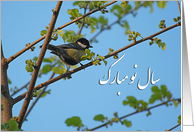 Happy Norooz - bird on blooming tree card
