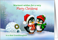 To Granddaughter, Merry Christmas Penguins in Snow with Igloo card