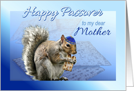 To Mother Happy Passover Squirrel with Matzah and Kippah card