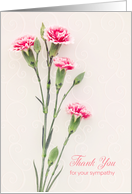 Thank You for Your Sympathy - Pink Peach Carnations card