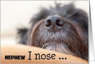 Nephew Humorous Birthday Card - The Dog Nose card