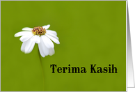 Terima Kasih Thank you in Malay and Indonesian card