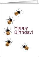 Birthday, Horned beetles on the move card
