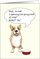 School Spring Break Coping with Coronavirus Pet Dog View Point card